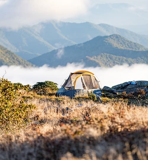 camp-3-nzqd6qp3daxl6ex9eepdotmzv12oddu3c8rvarr95k